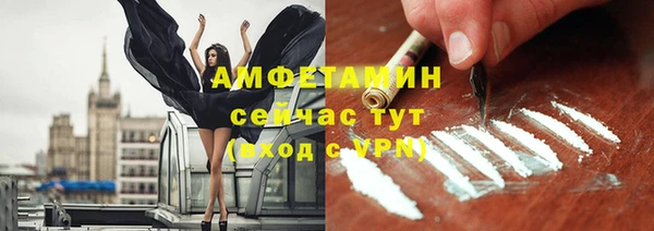 трава Белокуриха