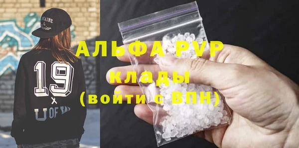 трава Белокуриха