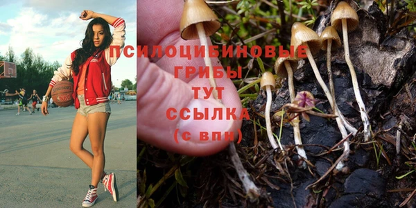 ешки Белоозёрский