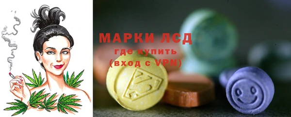 трава Белокуриха