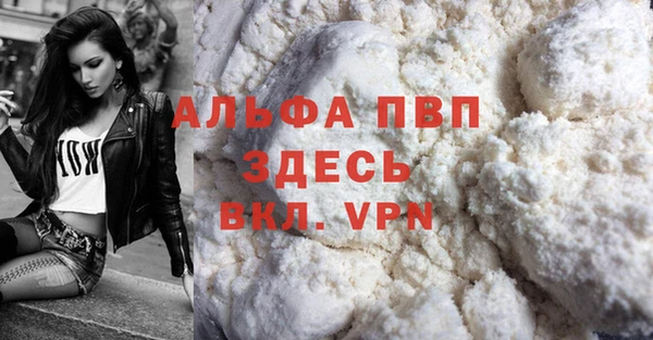 трава Белокуриха