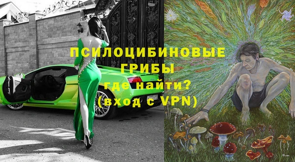 трава Белокуриха