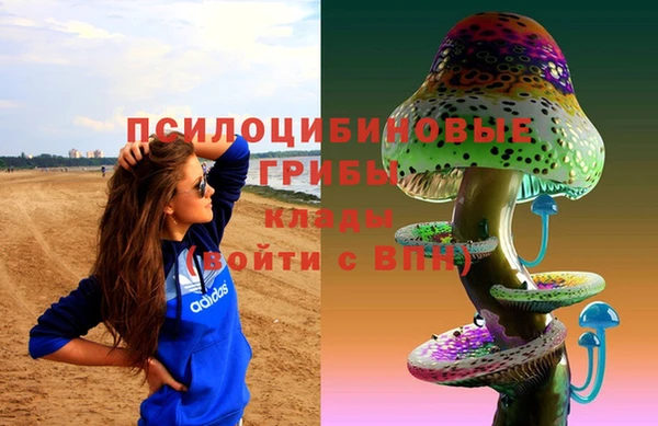 ешки Белоозёрский