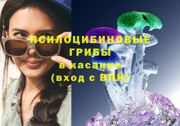 трава Белокуриха