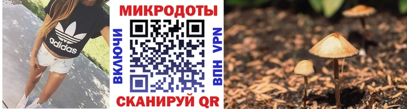 Галлюциногенные грибы GOLDEN TEACHER  Первомайск 